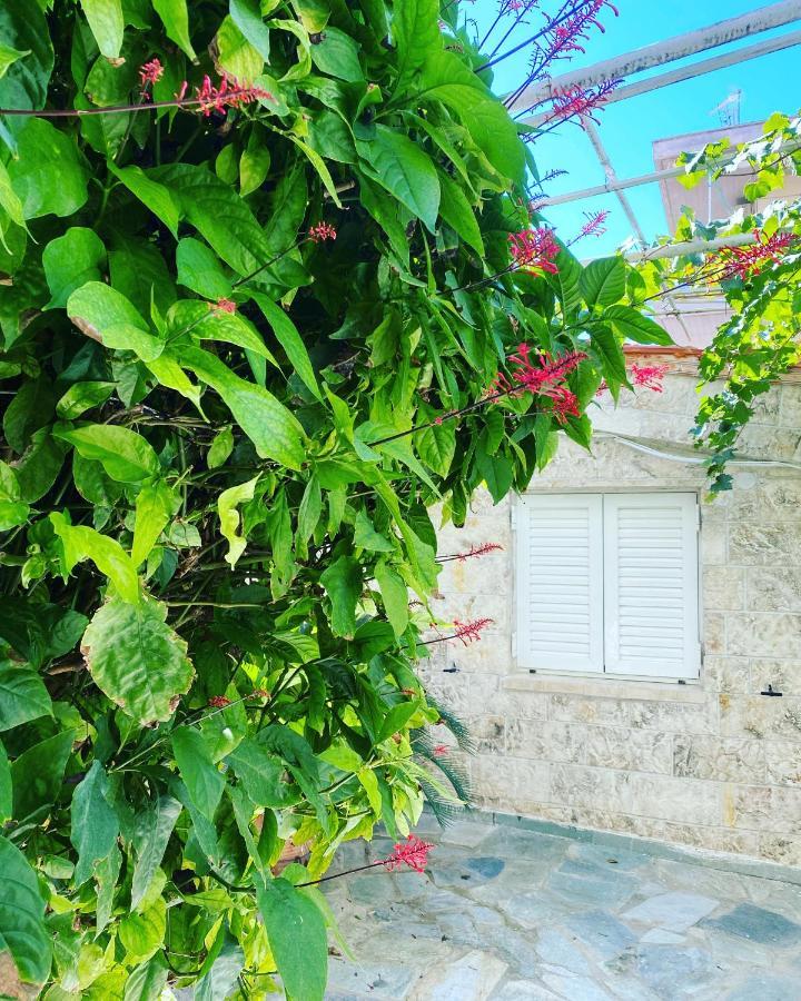 Little Cottage Athene Buitenkant foto
